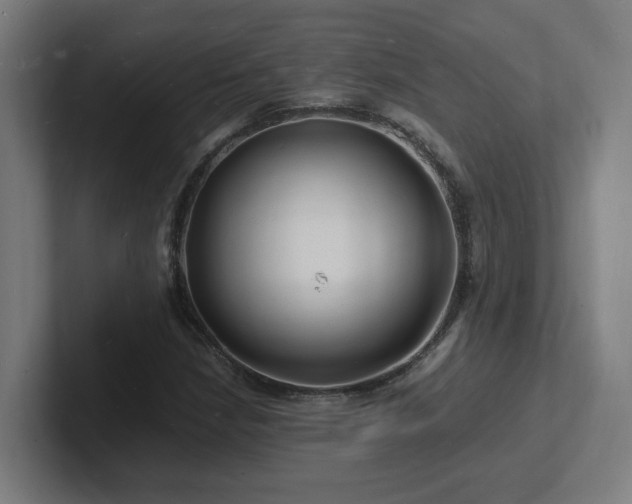 X0000102781210200808181143