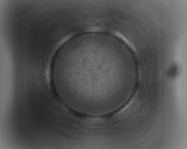 X0000102781213200808181143