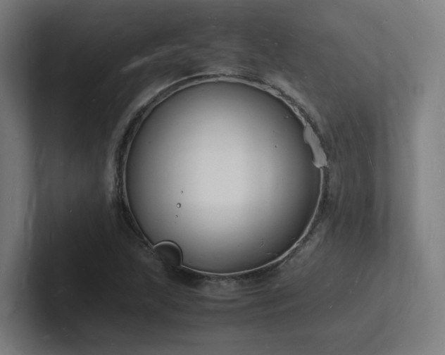 X0000102781215200808181143