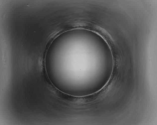 X0000102781217200808181143