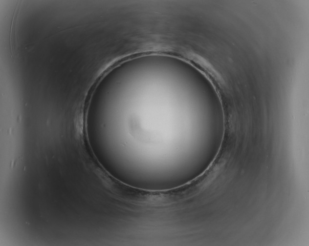 X0000102781220200808181143