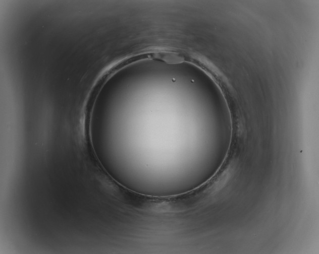 X0000102781222200808181143