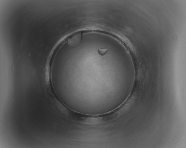 X0000102781224200808181143