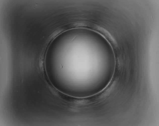 X0000102781225200808181143