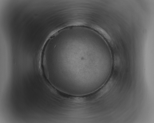 X0000102781226200808181143