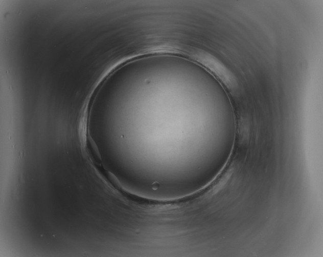 X0000102781228200808181143