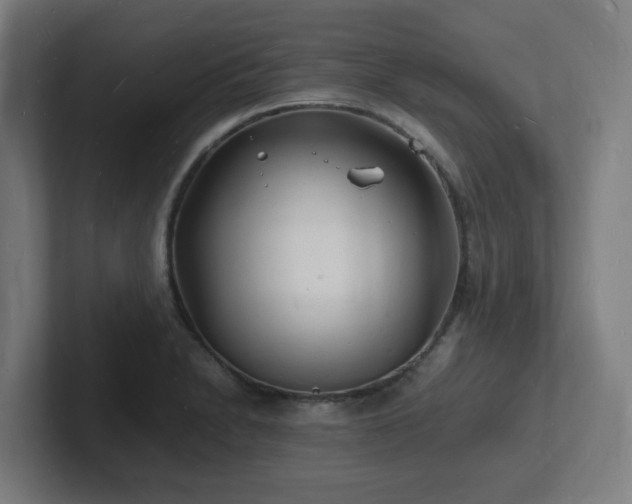 X0000102781230200808181143