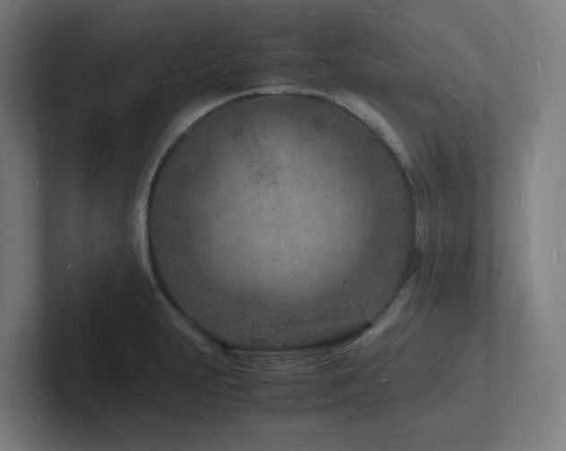 X0000102781231200808181143