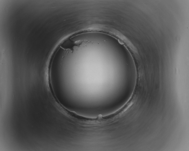 X0000102781232200808181143