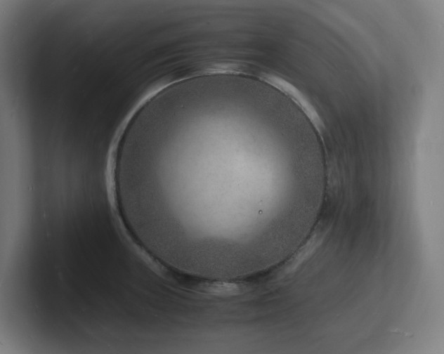 X0000102781235200808181143