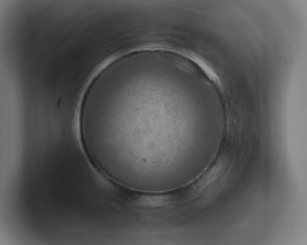 X0000102781237200808181143