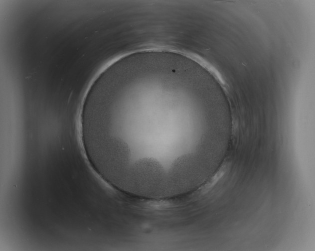 X0000102781239200808181143