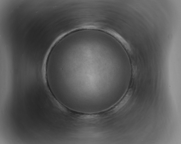 X0000102781240200808181143