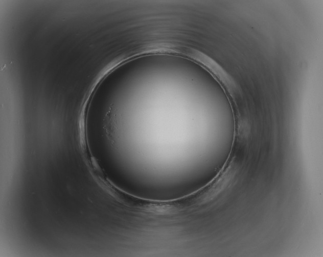 X0000102781242200808181143