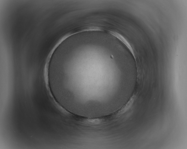 X0000102781243200808181143