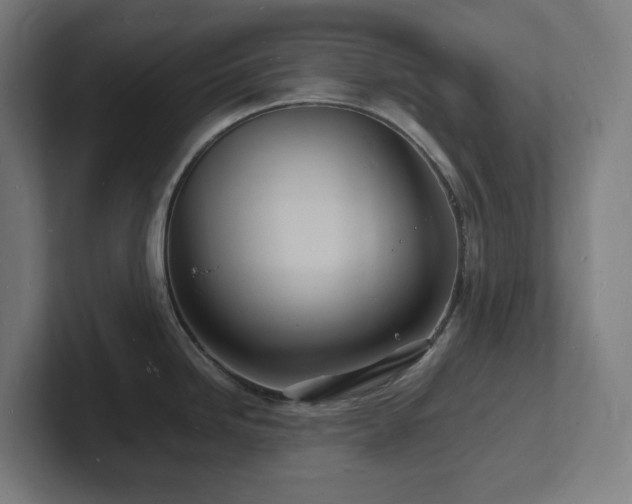 X0000102781246200808181143