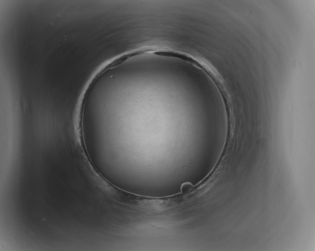 X0000102781248200808181143