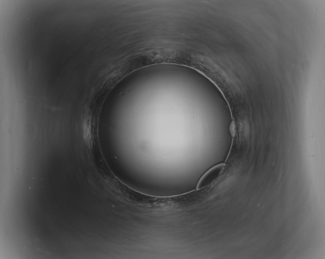 X0000102781250200808181142