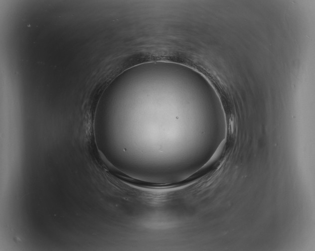 X0000102781251200808181142