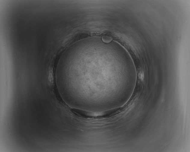 X0000102781252200808181142