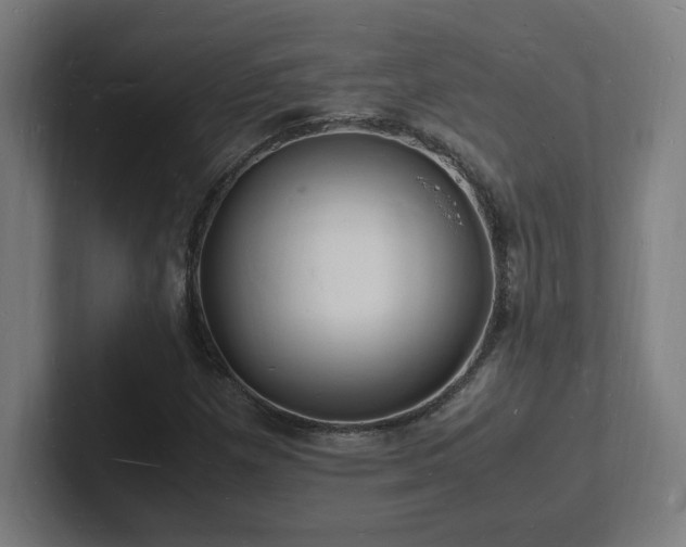 X0000102781257200808181142