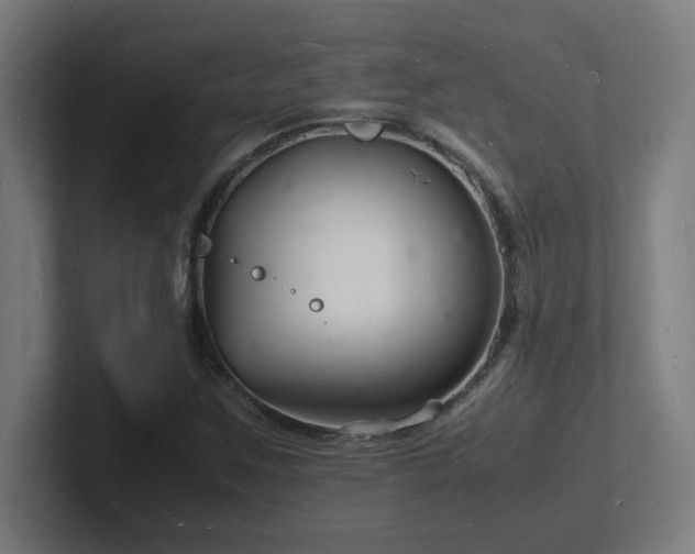 X0000102781259200808181142