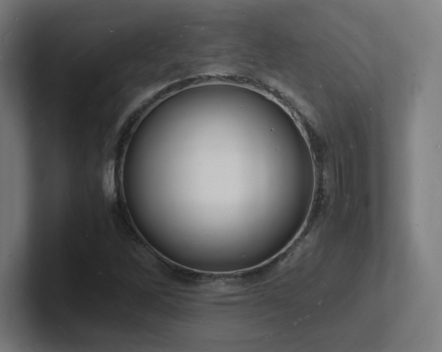 X0000102781262200808181142