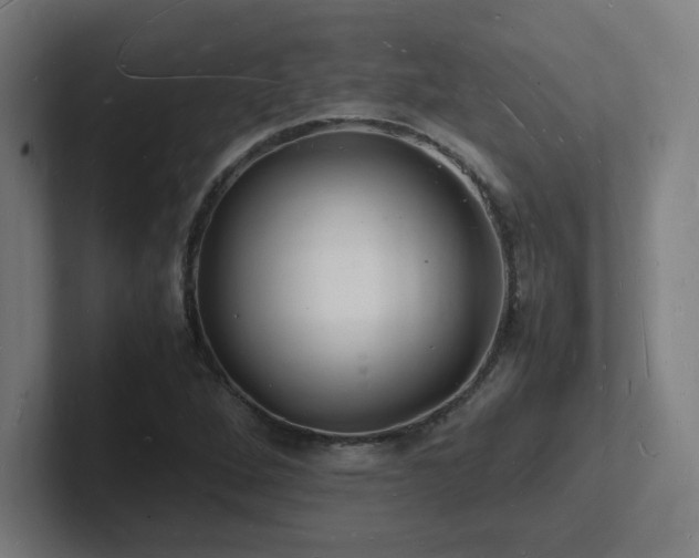 X0000102781264200808181142