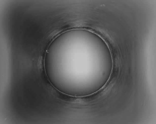 X0000102781265200808181142