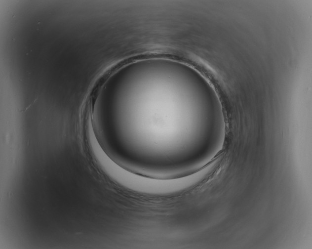 X0000102781267200808181142