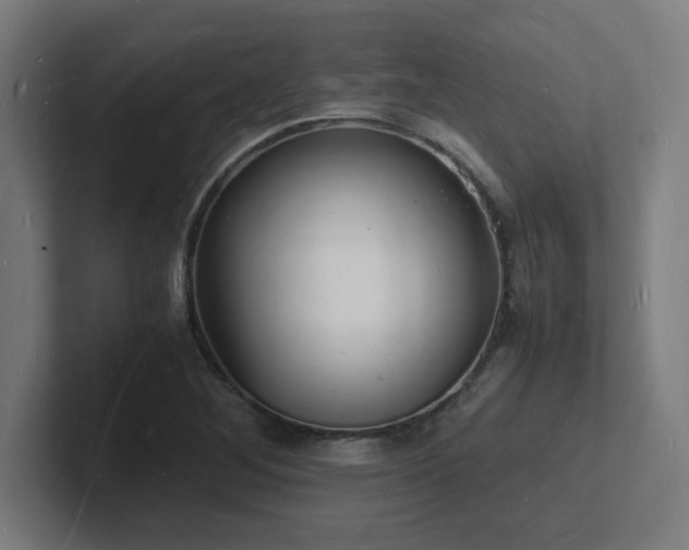 X0000102781268200808181142