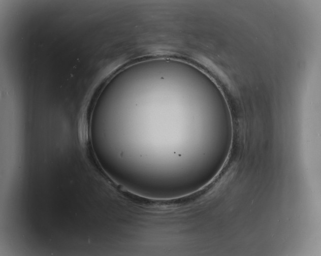 X0000102781269200808181142