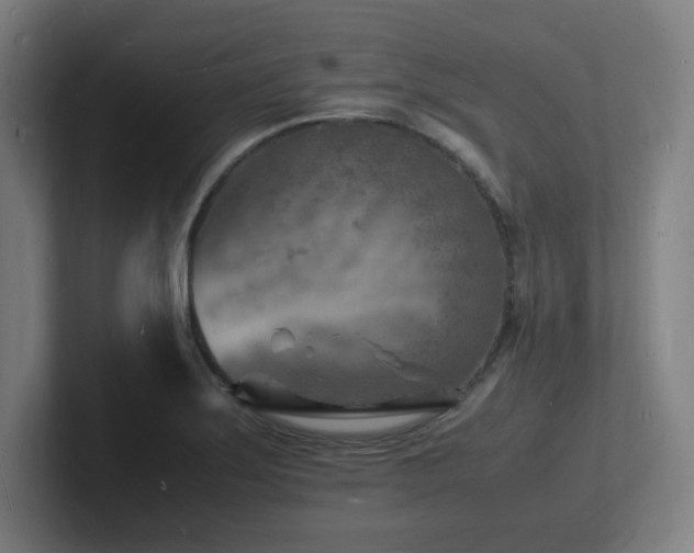 X0000102781275200808181142