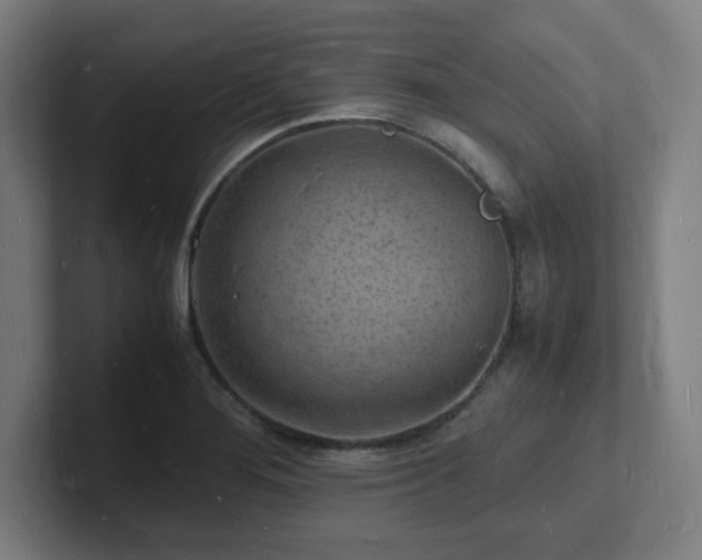 X0000102781276200808181142