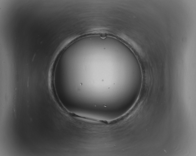 X0000102781277200808181142