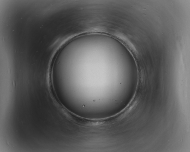 X0000102781278200808181142