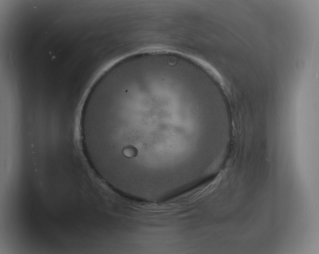 X0000102781279200808181142