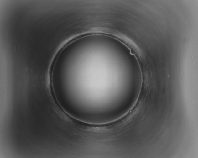 X0000102781280200808181142