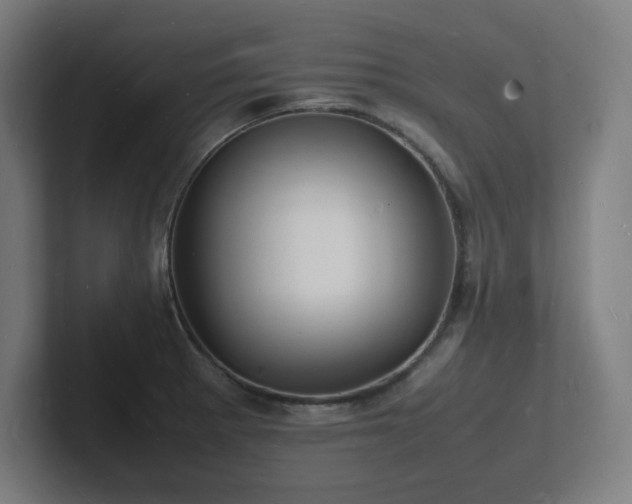 X0000102781281200808181142