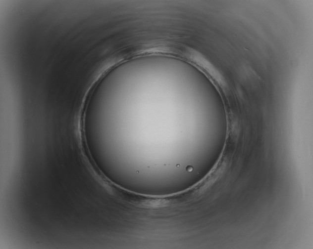 X0000102781282200808181142