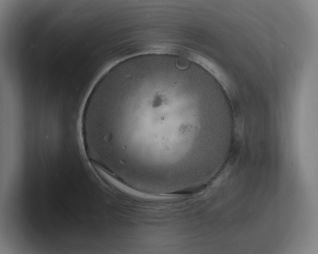 X0000102781283200808181142