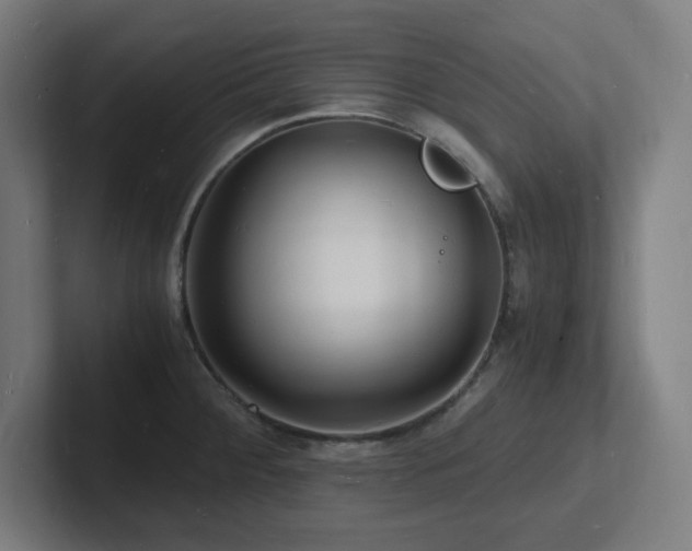 X0000102781284200808181142