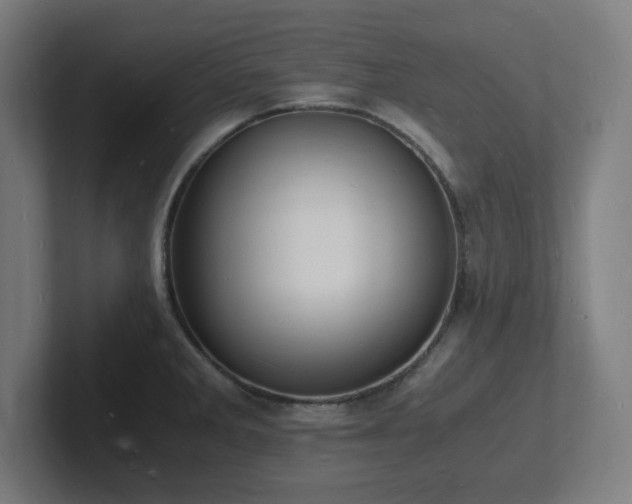 X0000102781285200808181142