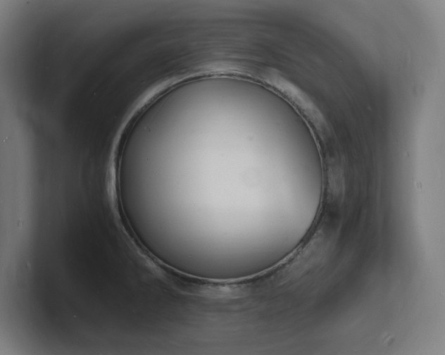 X0000102781286200808181142