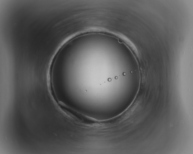 X0000102781287200808181142