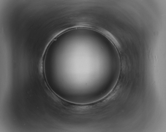 X0000102781292200808181142