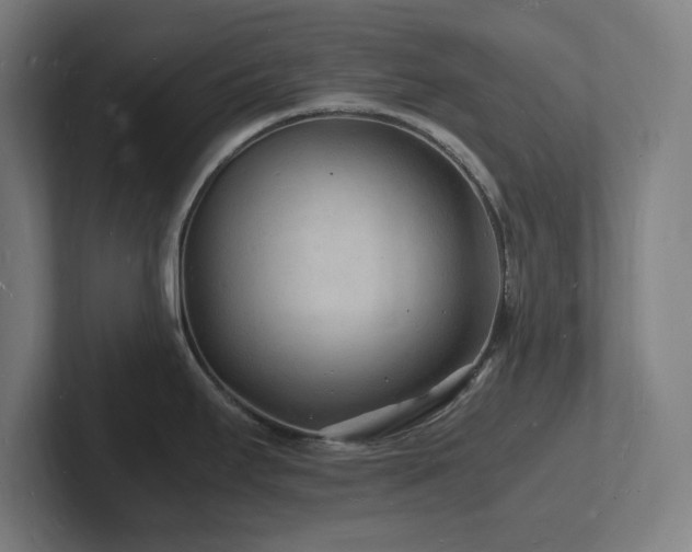 X0000102781295200808181142