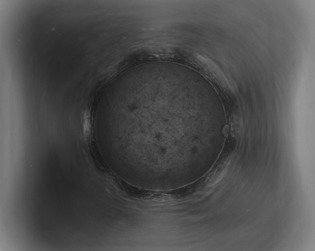 X0000102781298200808181141