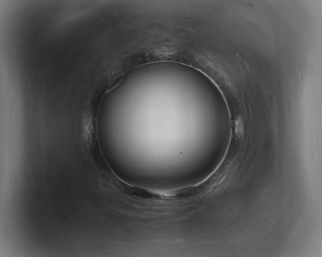 X0000102781299200808181141