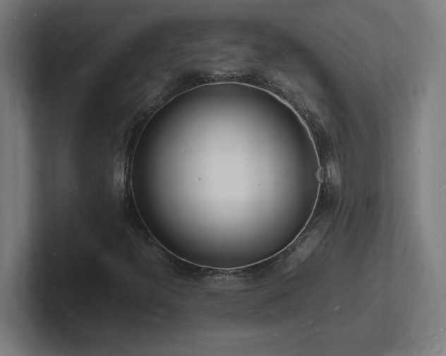 X0000102781300200808181141